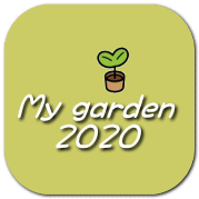 My garden     2020